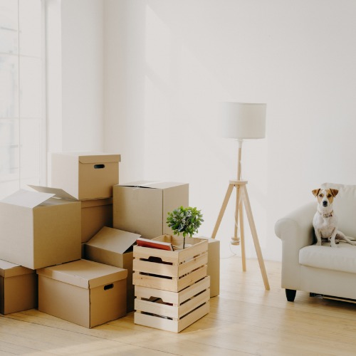 Move cleaning maid services